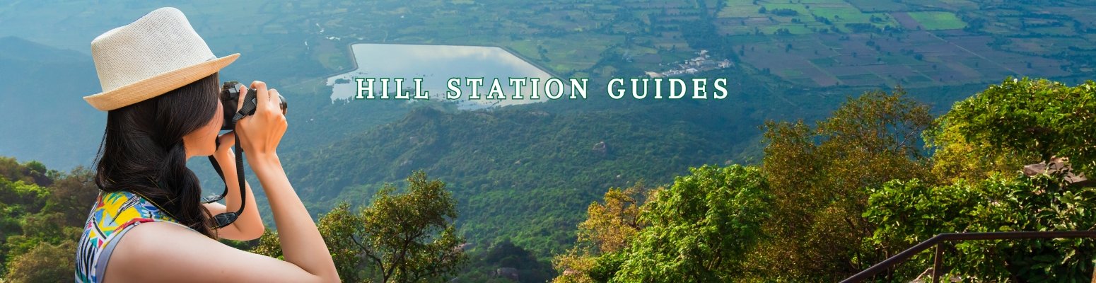 Professional travel solutions for businesses